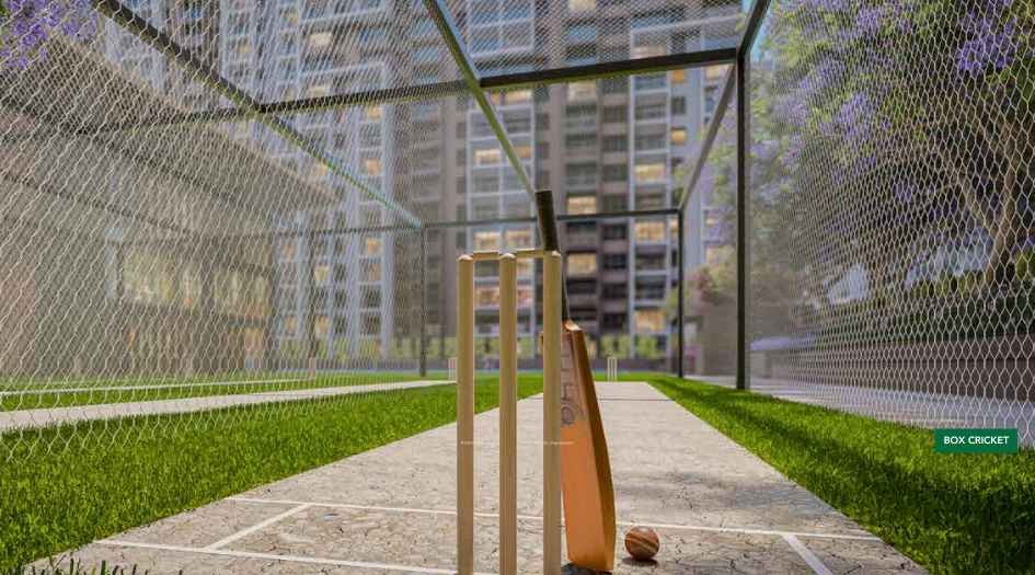 Kohinoor-Central-Park-box-cricket