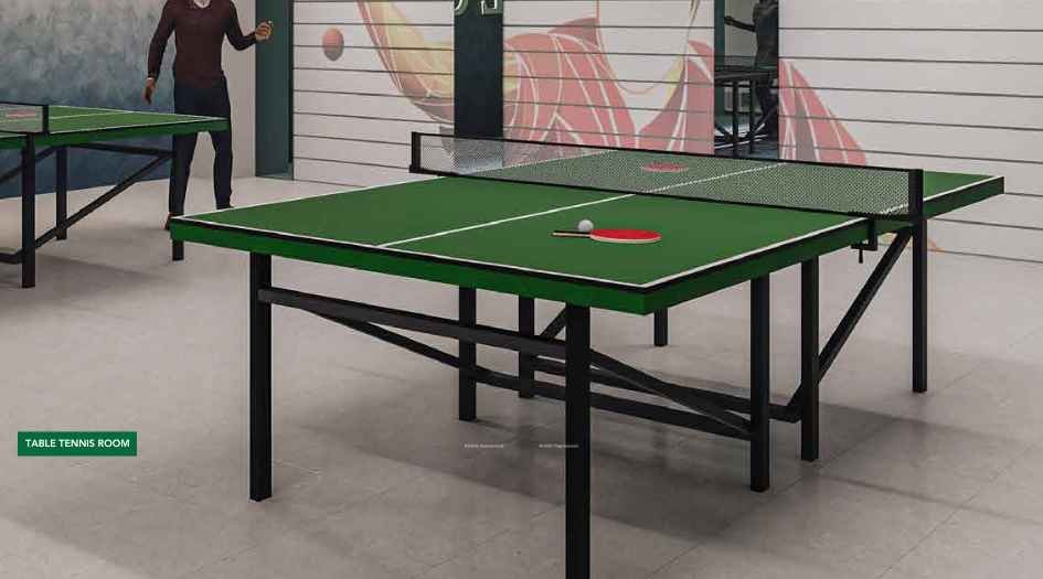 Kohinoor-Central-Park-table-tennis-court